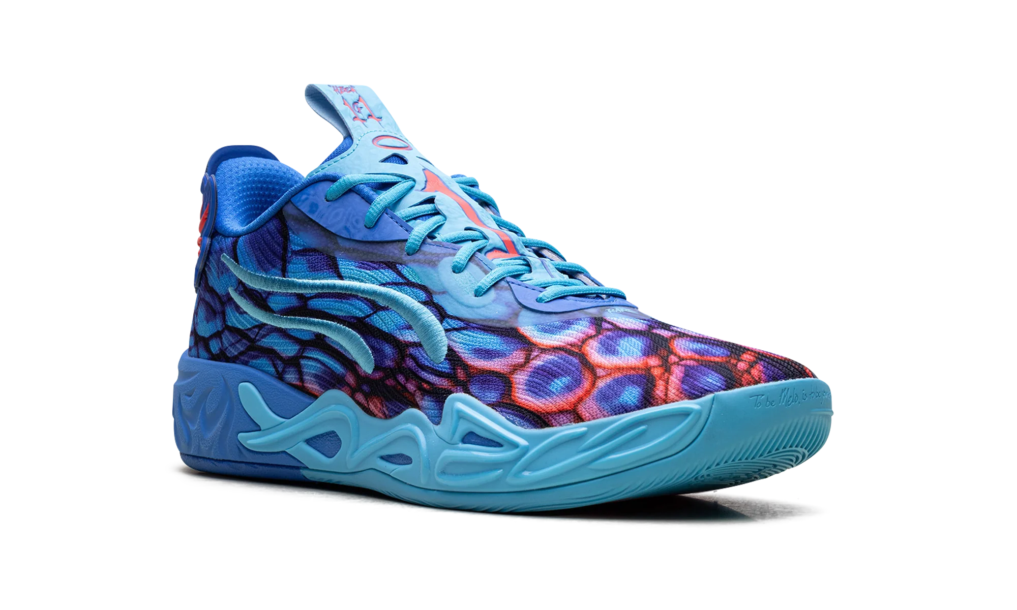 Tuotekuva 7